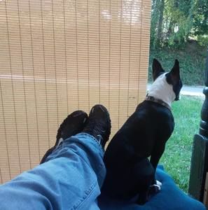 Meet your Posher, Tommy